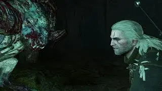 The Witcher 3: Death March - Chort (Even Odds)