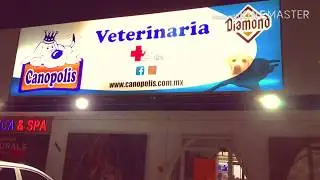 María Inés quiere ser veterinaria