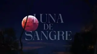 Mägo de Oz - Luna de sangre (Lyric Video Oficial)
