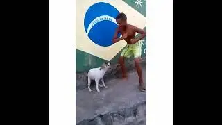 Pawri Ho Rahi Yashraj | Pitched Remix Dog dance