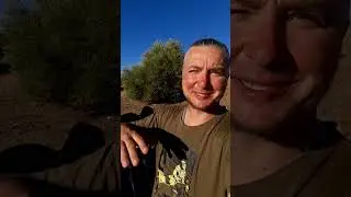 Испания. Дорога на Севилью.