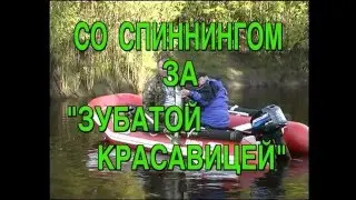 Серебряный ручей Выпуск 12 «Со спиннингом в поисках 