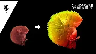 CorelDRAW tutorial - how to make impressive color effect in photo/bitmap image 