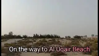 On The Way to Al Uqair Beach