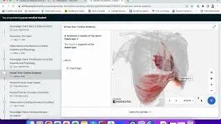 Passport Series Online Learning Solution Navigation Tutorial