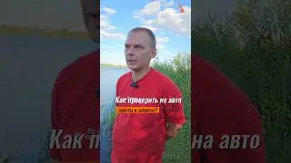 Как проверить на авто аресты и запреты?