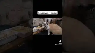 16 ноября 2023 г.