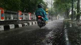 Sleeping Soundly in 3 Minutes with the Sound of Heavy Rain and Loud Thunder on a small road