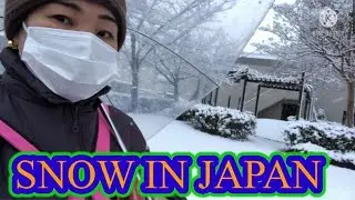 SNOWING IN AICHI KEN NAGOYASHI JAPAN
