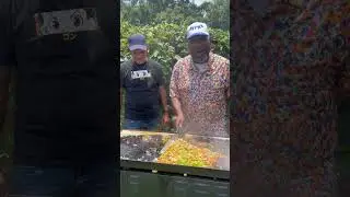 Check out this Alligator & Crawfish Pasta on the Flattop Griddle with ​⁠@BunBTrillOG | Lets Go!