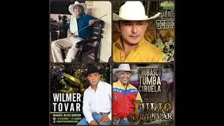 Jorge Guerrero, Juan Herrera, Wilmer Tovar y Julio Bolívar - Las más sonada del llano