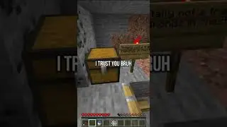 Smartest Minecraft Player (69420+ iq)