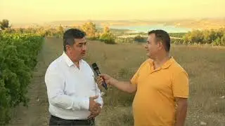 TARSUS İLÇE TARIM MÜDÜRÜ HAYRİ ERDOĞAN ! TARIM RAPORU