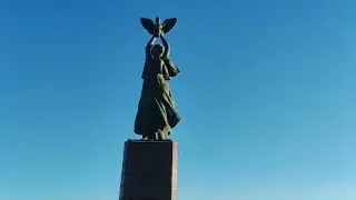 Замена сцепления . Кординарно.
