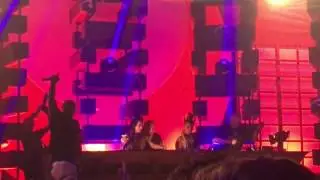 Master of Hardcore 2017  Black Flowers