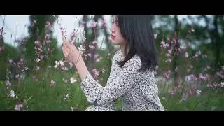 Wander ( Slow Motion )