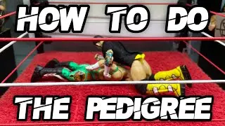 How to do a Pedigree on WWE Action Figures!