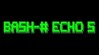 Seektik | Bash (Shell scripting) Beginner to Advanced - 5