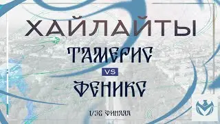 ТАМЕРИС - ФЕНИКС | Зимний Кубок ЛФЛ КБР 23/24 |⚽️ 