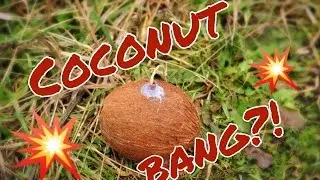 БОМБА ИЗ КОКОСА!!!!!!