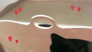😻🐾Милоты Вам от сладких котодеток