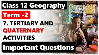 Tertiary and quaternary activities Class 12 geography Chapter 7 important Questions I TERM 2