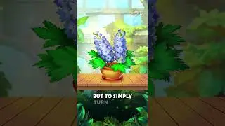 3 life hacks from Filippa for indoor plant lovers #shorts