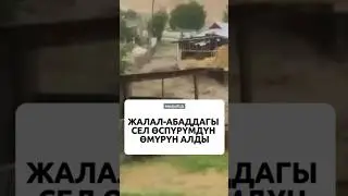Жалал-Абаддагы сел өспүрүмдүн өмүрүн алды 