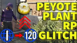 *FASTER* PEYOTE RP METHOD GAME BREAKING 5000 RP GLITCH GTA 5 PEYOTE PLANT DUPLICATION GLITCH