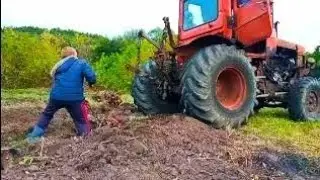 ДТ 75 на колесах. Чистим поле, удаляем пни
