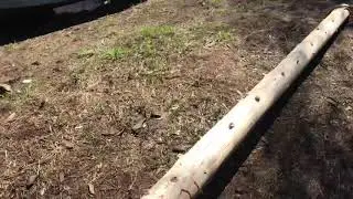 Бытовуха в лесу
