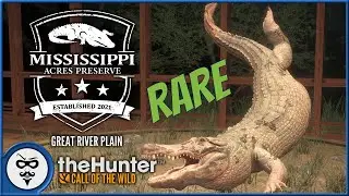 Rare Gator On Mississippi Acres - Content Creator Early Access | theHunter Call of the Wild