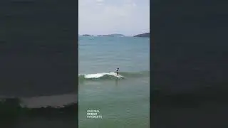 Otti Surfing Summer Surreal