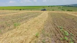 Grain harvest results 2021.