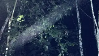 🔴LIVE MISTERI MALAM INI || jam 2 malam
