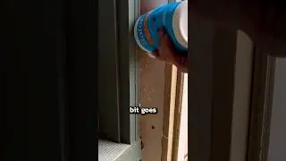 How to Get Rid of Ants