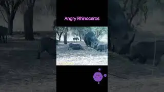 Angry Rhinoceros hit