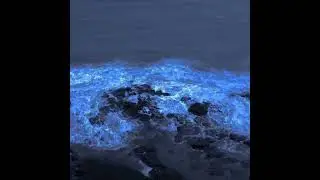 Руки Вверх – Чёрное море slowed