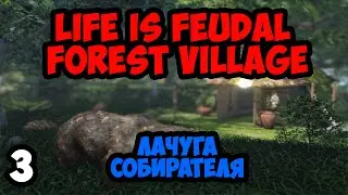 Life is Feudal:Forest Village #3 - Лачуга собирателя