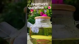 Чай из иван- чая🌱🌺 #простойрецепт #сочи #easy  #рекомендации #new