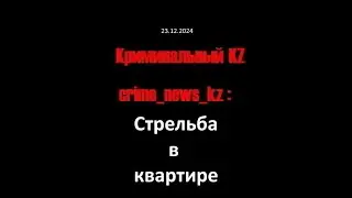 20241223 стрельба в квартире
