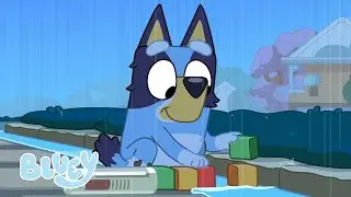 Giocare sotto la Pioggia con Bluey ☔️ | Bluey Italiano Canale Ufficiale  💙 🇮🇹