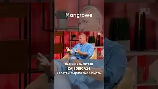 Pet kompetencija