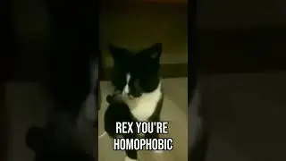 Does Rex Support The Gays #meme #funny #topg