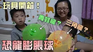 玩具開箱！恐龍造型膨脹氣球！可以吹到25公分哦！大嘴嘴