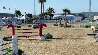 DERİN DEMİRSOY ve DADJAK TER PUTTENEN