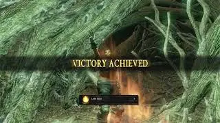 Bed of Chaos (Both Sides) - No Checkpoints/No Damage/No Roll/No AUX/No Summons/No HUD