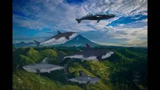 Shark In Aquarium VFX Editing