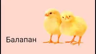 Жануарлар дауысы