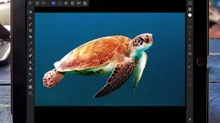 How to Cut Out an Object and Place it on a Black Background - Affinity Photo Tutorial